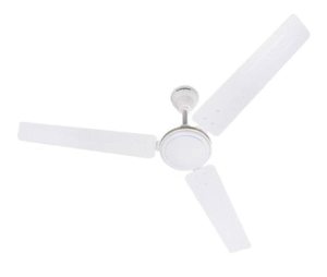 Fans